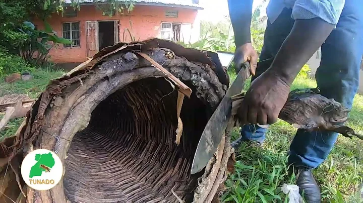 How To Attract Bees In a Local Style Hive Within 10 Minutes
