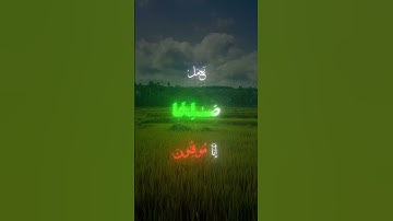 رَبَّنا أَبصَرنا وَسَمِعنا فَارجِعنا | سورة السجدة|تلاوة الشيخ ياسر الدوسري