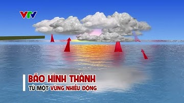 Có thể bạn chưa biết: Cấu trúc hình thành của một cơn bão | VTV24