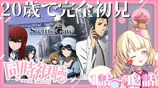 STEINS;GATE 同時視聴