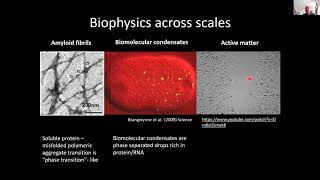 Novel physics arising from phase transitions in biology
