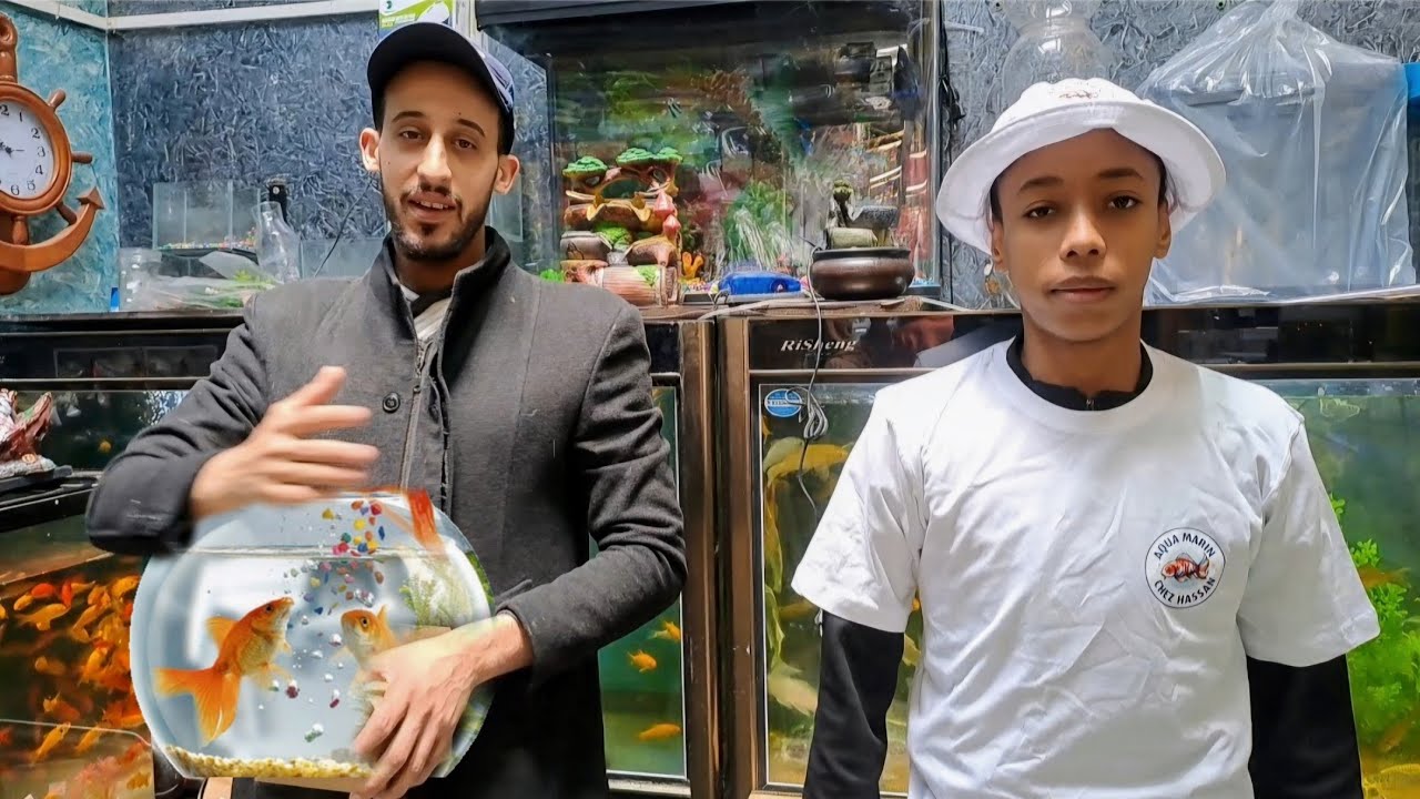 جديد الأسماك 🔥زيارة عند حسن مولوع باسماك الزينة تعرف على اثمنة جميع الأسماك 🇲🇦2024