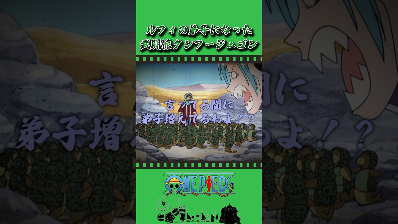 ルフィの弟子になった武闘派クンフージュゴン #onepiece #ワンピース #アニメ #雑学