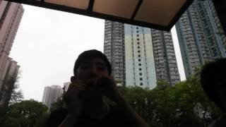 혜화동 동물원 harmonica cover From 請回答