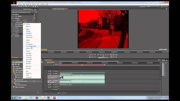 3D Tutorial - Create Stereoscopic 3D Videos for YouTube using Adobe Premier