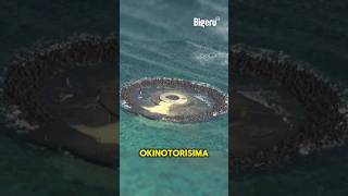 Kenapa Jepang Habiskan 9 Triliun Demi 2 Batu di Lautan?