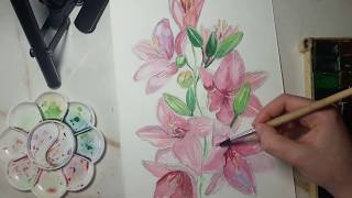 How to draw watercolor liles / Лилии акварелью / Часть 1