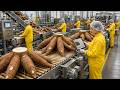 From Cassava to Alcohol Inside the Factory Turning Roots Into Clear Spirits