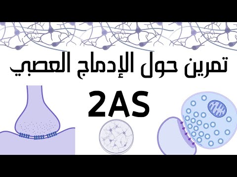 تمرين حول التنظيم العصبي ثانية ثانوي شعبة علوم تجريبية الإدماج العصبي 