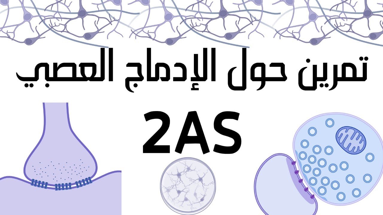 تمرين حول التنظيم العصبي ثانية ثانوي شعبة علوم تجريبية ✅الإدماج العصبي 😍🔥💯💯