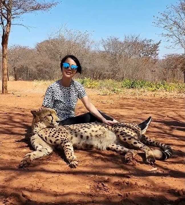 Walking with Cheetah - Yumi Kim Jul 30 2022