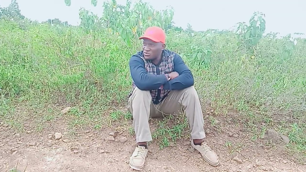 synthia ichamo pesana