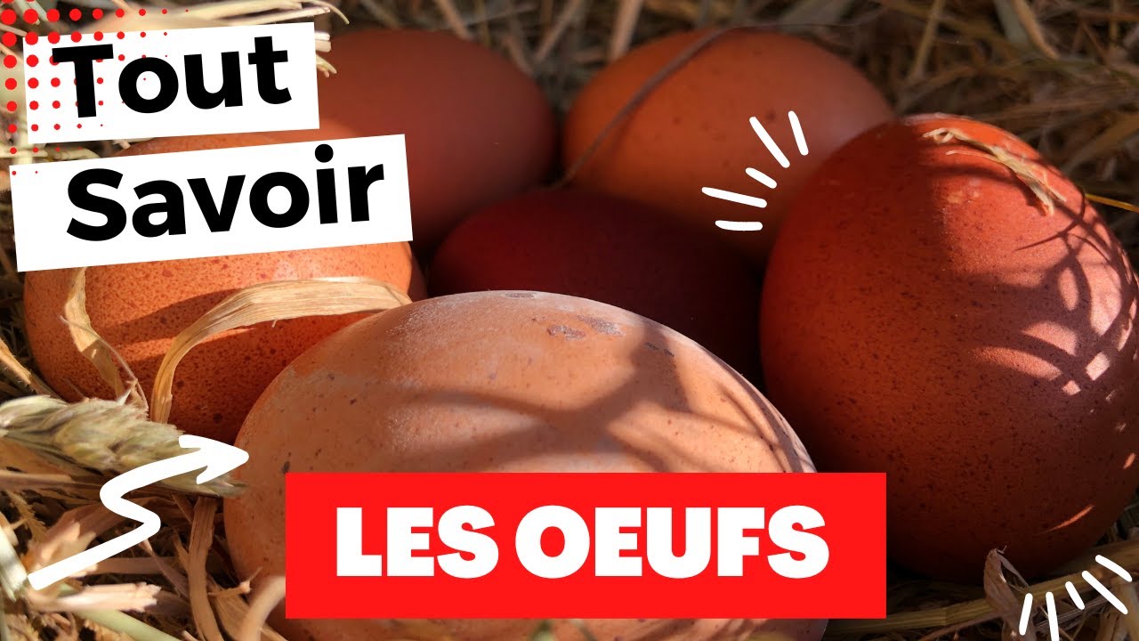 conservation des blancs d oeufs