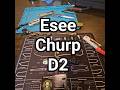 ESEE CHURP 2025 REVIEW