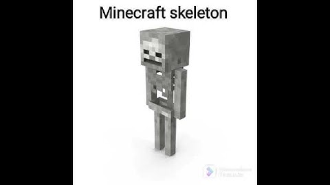 REAL SKELETON AND MINECRAFT SKELETON #minecraft #minecraftmeme
