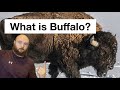 Is Buffalo a city or sauce?