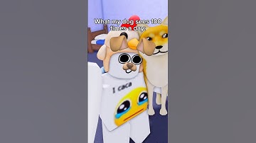 Best Pet #pmdamiann #roblox #robloxanimation