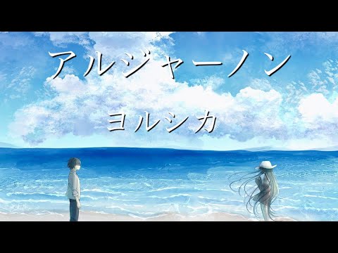 アルジャーノン / ヨルシカ ドラマ『夕暮れに、手をつなぐ』 主題歌 cover byポム🍮