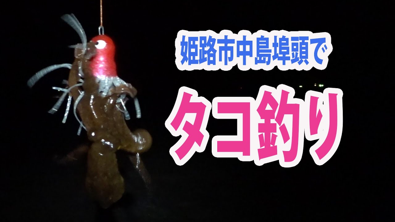 姫路市中島埠頭でタコ釣り Youtube 姫路市中島埠頭でタコ釣り Youtube