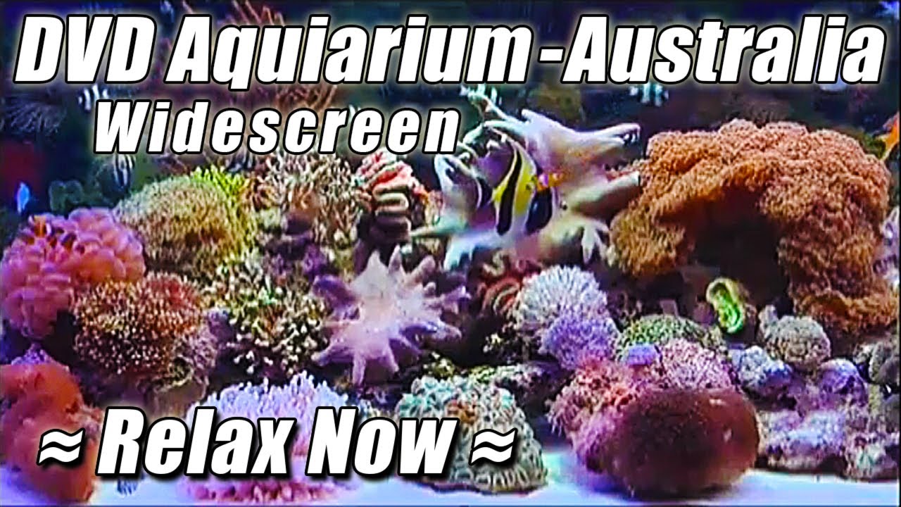 AQUARIUM DVD #1 HD AUSTRALIAN FISH TANK relaxing video fishtank best top selling ambient