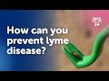 How can you prevent Lyme disease?