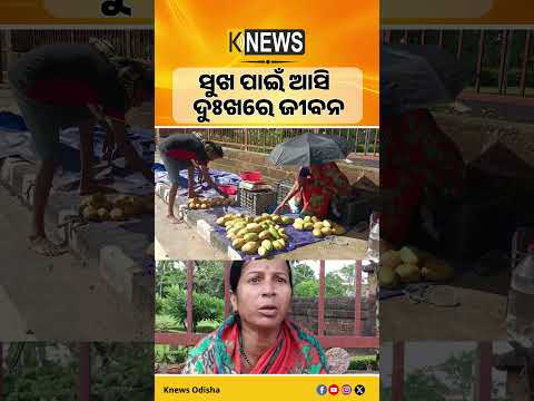 ସୁଖ ପାଇଁ ଆସି  ଦୁଃଖରେ ଜୀବନ  #knewsodisha