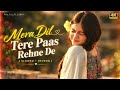 Mera Dil Tere Paas Rehne De | Slowed Reverb | Lofi | Udit N, Alka Y | Hindi Hit Song | 00s Song