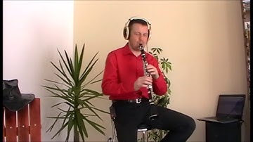 Ed Sheeran - Shape Of You [Clarinet Cover]