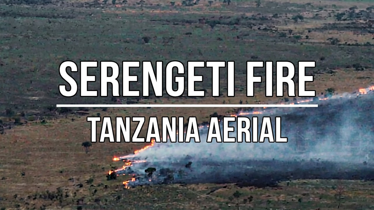 灼熱のアフリカ Africa burning in Fire / Serengeti Tanzania Aerial - YouTube