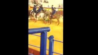 Starwars horses in Benidorm August 2015 by Ewan Todd 121 views 8 years ago 9 minutes, 10 seconds
