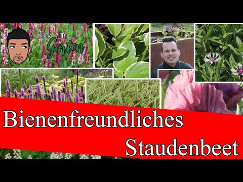 Video: Pflanzen für duftende Gärten – Tipps zum Anlegen eines Parfümgartens