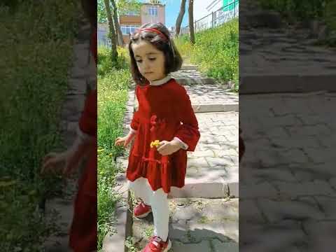 امنه تحب ورود صفرا كتير حطو كومنت ورد اصفر ل امنه Shorts 