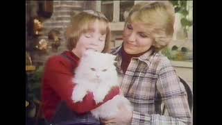 Summer 1978 Commercials (60fps)