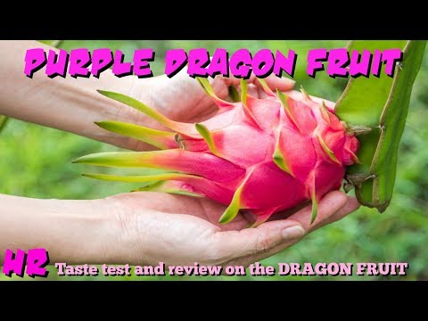 Vídeo: Pitahaya Dragon Fruit: Consells per fer créixer arbres fruiters del drac