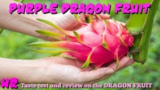 ⟹ DRAGON FRUIT | Hylocereus costaricensis | Pitaya roja FRUIT REVIEW