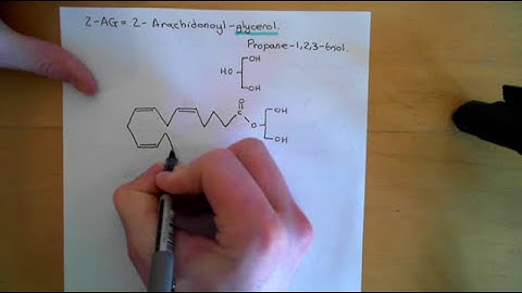 Endocannabinoids and the Cardiovascular System Part 1