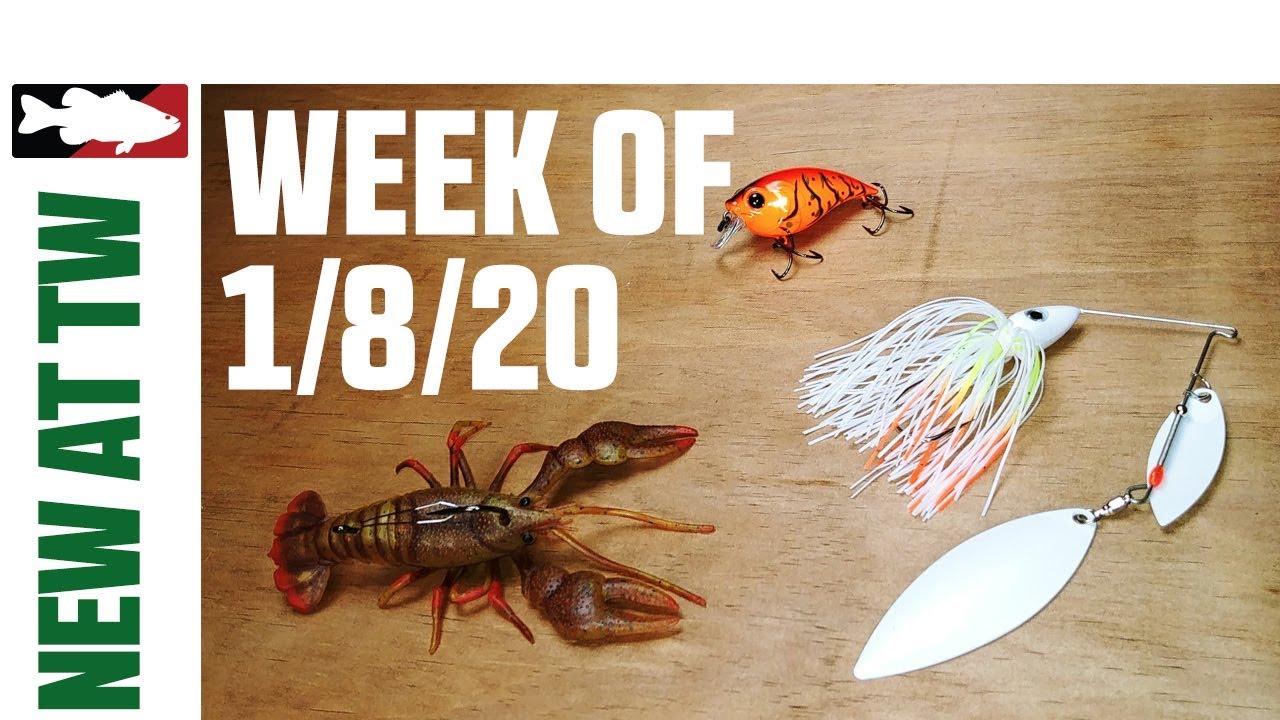 tackle warehouse usa