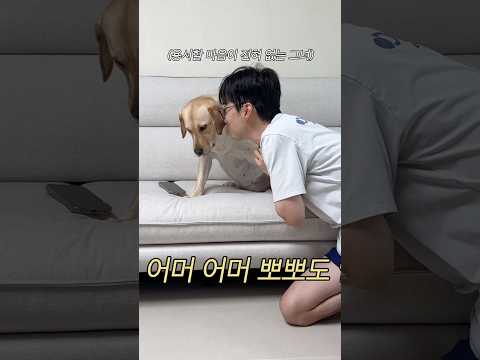 MBTI가 F인 내연견 #내연견 #이다다 #포캣멍센터 thumbnail