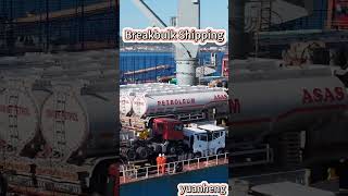 Professional bulk cargo shipping agent awaits you. #freightforwarder #freightforwarding