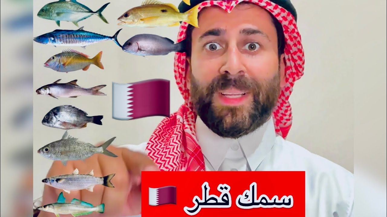 اهم انواع السمك في قطر .. - YouTube
