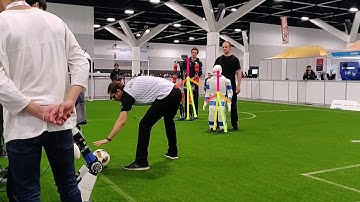Humanoid Robot Pose Estimation