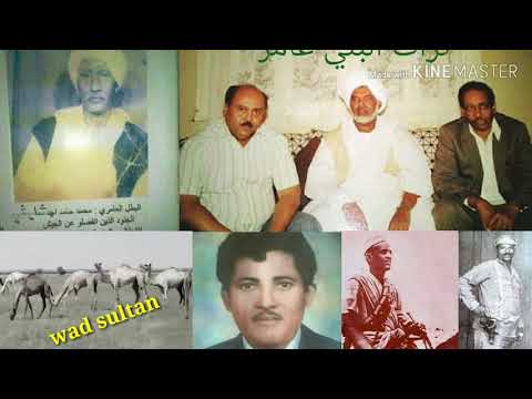 الشاعر ادريس همد