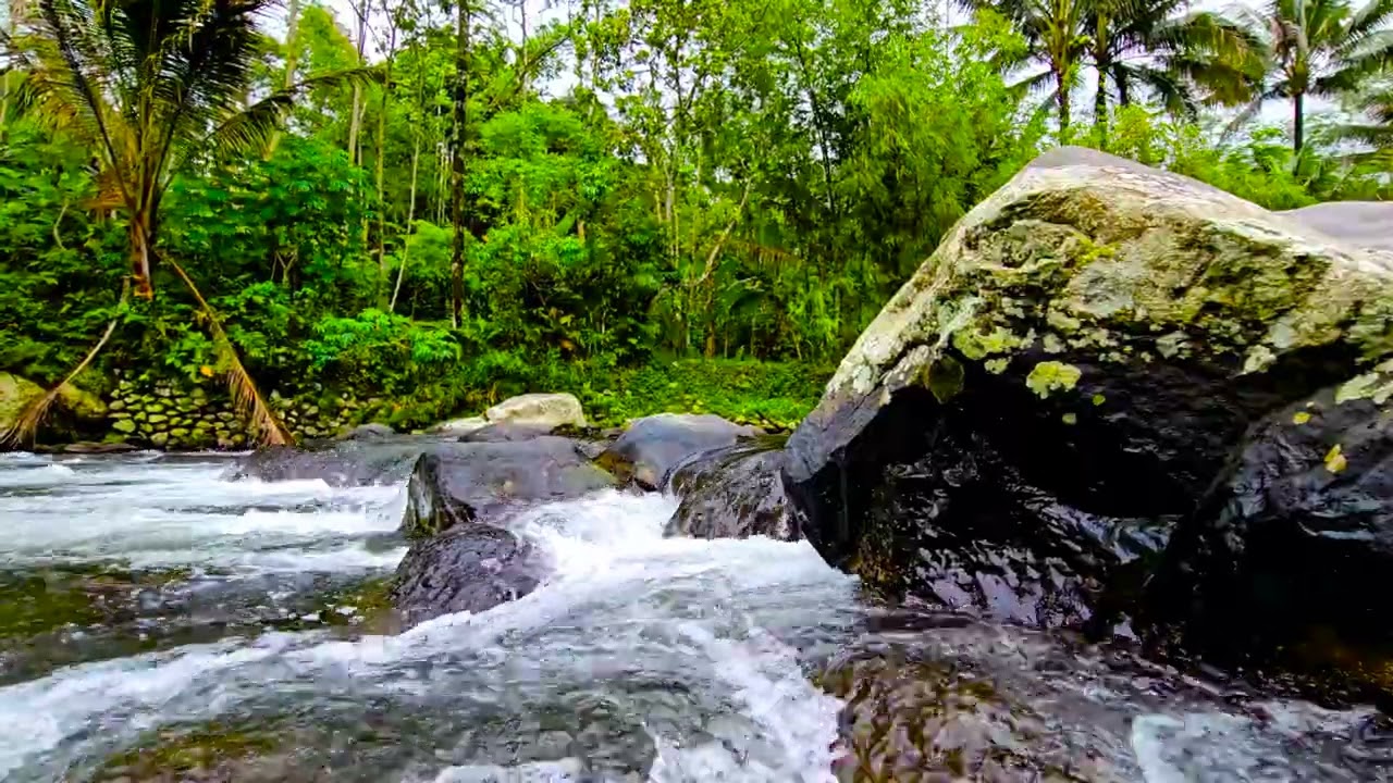 Escape to a Tropical River 🌿 Relaxing Water Sounds for Deep Sleep (4K Nature Ambience)