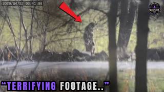 20 Most DISTURBING Wilderness Bigfoot Encounters Caught On Camera