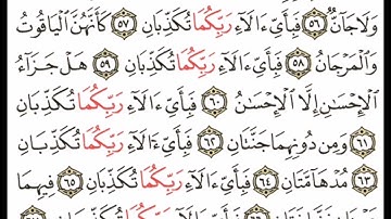 سورة الرحمن آية ٥٦-٦٧ #اكسبلور#القران #القاري attaullahfarooqi 5219 عطاء الله فاروقي من الدوحة قطر