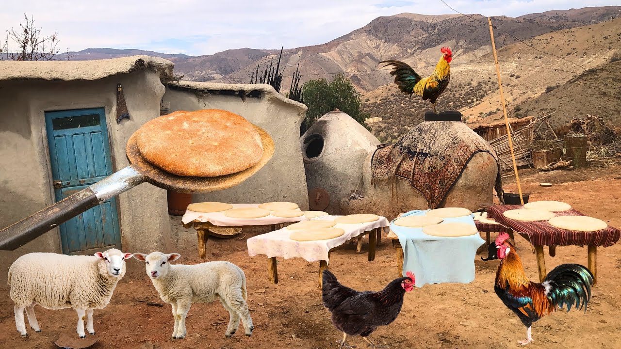 هكذا يعشون في القرية الريفية في شتاء يخبزون في الفرن الحطب وتربية الأغنام ودجاج البلدي وسط جبال لريف