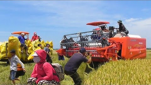 máy cắt trung quốc 130 hàm rất lớn nhất giá chỉ có 880tr tại Việt Nam tập 60#maibangtv