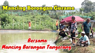 MANCING BORONGAN GURAME DI PARUNG PANJANG BOGOR