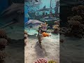 #cat#cartoon #animation #viralvideo #beach #funny #summer #shorts #animation