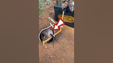 Bẫy rắn độc lạ miền tây và cái kết không dính cả nhà ơi